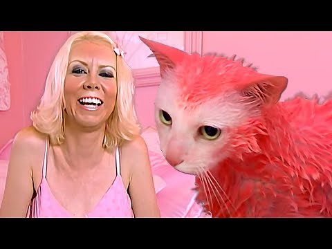 Pink Obsessed Cat Lady Goes Too Far