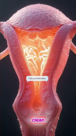 Full Menstrual Cycle Timeline Explained | 3D Medical Animation