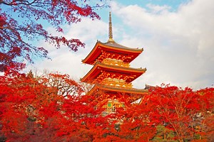 有名な紅葉名所が次々とピークを迎える11月下旬に照準を合わせた京都散策のツボをご紹介します。