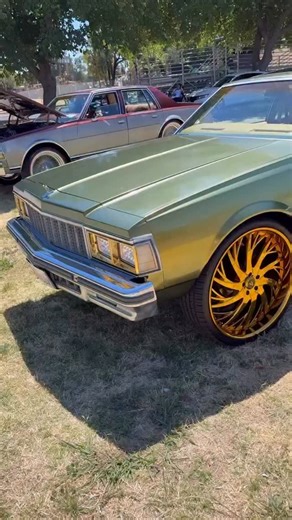 79’ Caprice 2dr👀 26” Decatur - Custom Finish🔥 @chris_famo #artiswheels #forgedwheels #customwheels #donklife #donks #donkplanet #26s | Artis Wheels