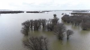 8.9K views · 152 reactions | THE BEST TROPHY CRAPPIE LAKE IN AMERICA! Watch Let’s Fish anchor Barry Stokes show off how good Grenada Lake in Mississippi is for huge crappie! Visit Mississippi | Let's Fish TV | Facebook
