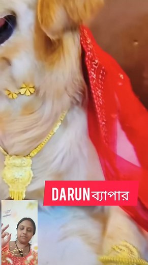 250 reactions · 12 comments | So sweet #mandirabaisakhi #fb #highlight #mandira #everyone #view #explore #dogsofinstagram #doglover #intragram #allfollowers | Mandira Baisakhi Banerjee | Facebook