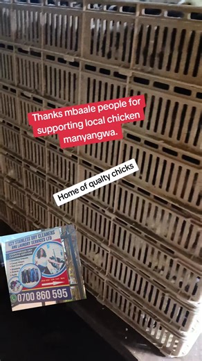 #foryoupage #govirallocalchicken #kuntiko #