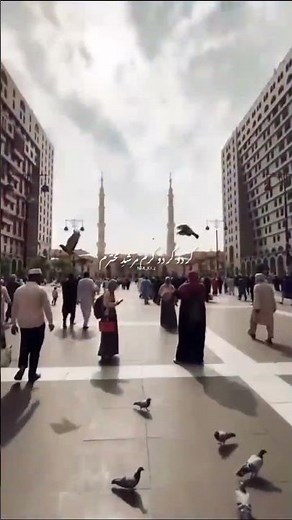 #nfak #unfrez #account