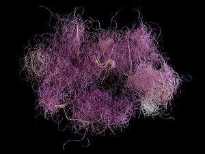 Rare purple textiles from the time of biblical kings found for the first time in Israel