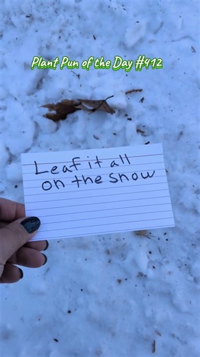 Winter Olympics Snow Fun: Leaf It All on the Snow | Plant Pun of the Day | ThePlantifulGardener