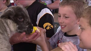 Farm Days Event in Bradford County Teaches Students about Farming in the Old Days