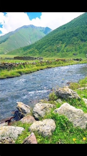 Nature at its Best #shorts #nature #travel #viral #trending #viralshorts #viralvideo #bike #tour