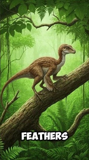 Facts About Microraptor