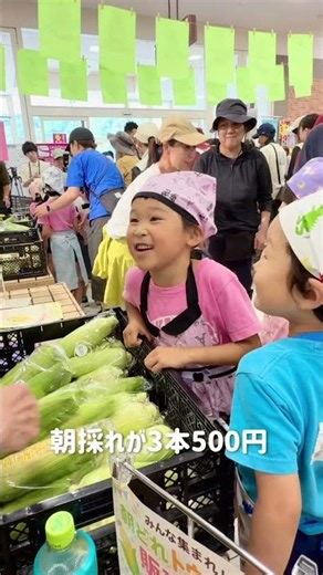 売れた！売れた！園児たちの初夏の挑戦｜トウモロコシ500本