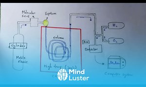 Mind Luster - Learn Gas chromatography technique Bio science
