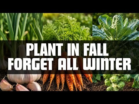 10 Easy Vegetables To Plant In Fall And FORGET All Winter!