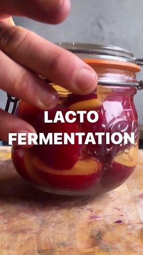 Natural Fermentation: Lacro Fermentation Method