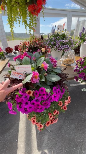 Quick Designer Tips for Containers | National Garden Bureau | Facebook