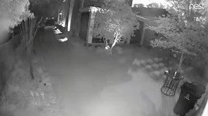 The meteor that buzzed North Florida likely came from asteroid belt and may never be found