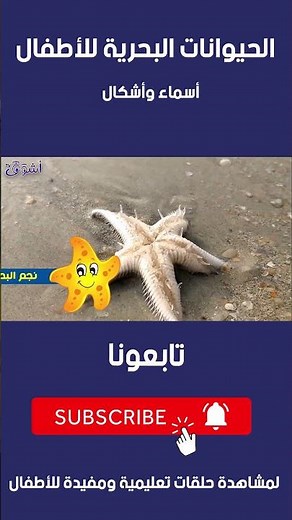 الحيوانات البحرية للأطفال | أسماء وأشكال | نجم البحر