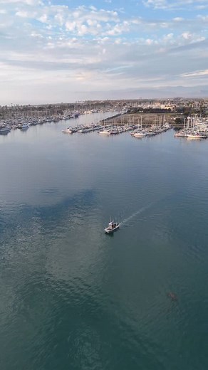 1.1K views · 602 reactions | Savoring the still before the storm begins. 酪 | Channel Islands Harbor | Facebook