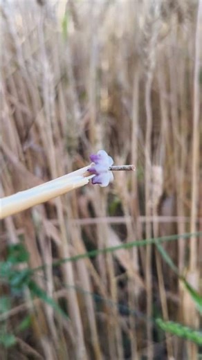 how to making mini project funny project #experiment