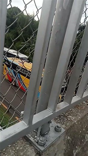 ‪@DaunDewaTN015‬ #fypシ゚viral #basuri #busmania #basuribus