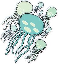 The life story of a jellyfish.