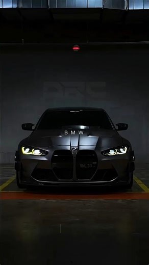 BMW x Gata Only 😍 #bmw #automobile #bmws1000rr #bmwm5