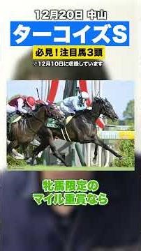 [Horse Racing - Nakayama] 3 horses to watch in the Turquoise Stakes!