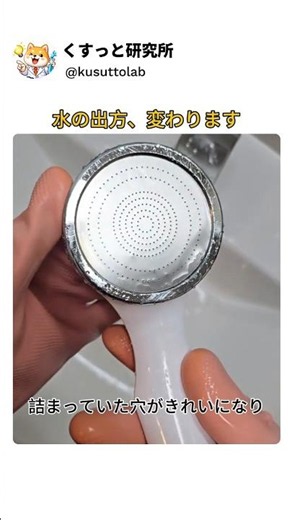 シャワーヘッドもトイレも掃除