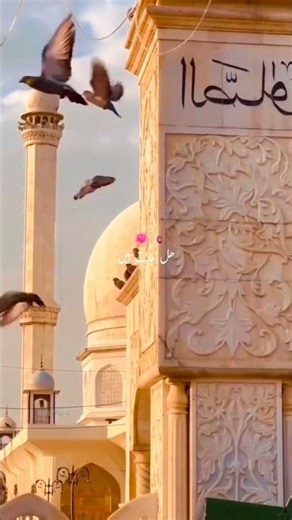 allah ka ghar sajdo ka dar status#allah #shorts