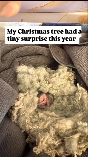 48K views · 128 reactions | A happy ending. When I opened my...