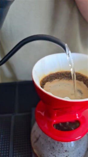 Daily Brew #17 Melitta Cerámica - Balance total ☕⚖️