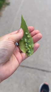 18K views · 98 reactions | I needed to know more about what the heck...