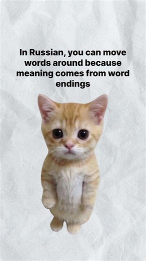 Word order doesn’t matter in Russian? #learnrussian