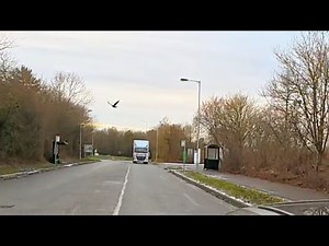 Crow Follows My Car When I'm Seen 😄🐦‍⬛🖤