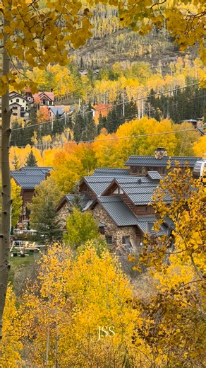 🍁✨ The leaves have started to fall in Telluride — we’re right at the peak of the colors, and it’s absolutely breathtaking! 🌄💛 Golden aspens, cool mountain air, and that magical glow that only Colorado in autumn can bring. 🍂🏔️ Where would you love to see fall colors like this? 🍁 #Telluride #ColoradoFall #PeakSeason #FallColors #AspenTrees #AutumnMagic | JeanTrip