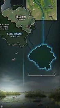 This Swamp Is Bigger Than Countries
