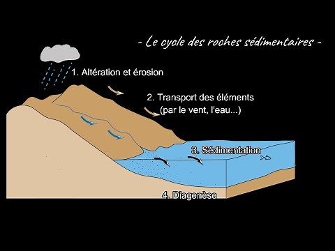 The sedimentary rock cycle and weathering (by Mrs Ruault-Djerrab)
