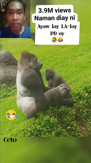 1.8M views · 14K reactions | 3.9M views naman diay ni #reelsvideoシ #reuploadreels | Bert Unio | Facebook