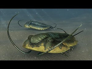 【鬼谷说】三叶虫 Trilobita：一个平凡家族的不屈与彷徨！