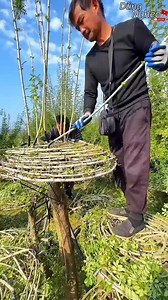 1.9M views · 3K reactions | Cây đẹp #tree #xuhuong #smartwork #smarttools #smartworkers #shortvideo #ff #reels #farm #garden #shortsfeed #tintuc | Xàm 1 Chút | Facebook