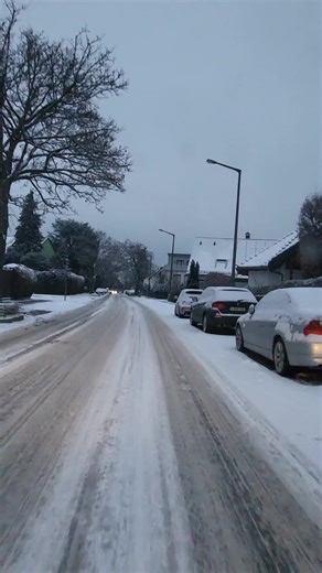 Winter Weather Challenges: Handling Snow Chaos