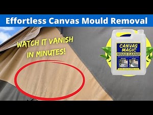 EFFORTLESS Canvas Mould Removal from an MDC Robson Camper Trailer