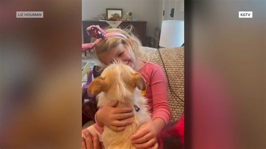 California family reunited with dog after she was found more than 2,000 miles away in Michigan