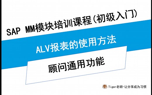 SAP 聊聊初级MM顾问 ALV报表的使用方法
