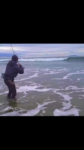 IT’S TIME TO FLY FISH THE SURF! 🌊 WHERE: Ventura, California 🏖️ WHEN: June 22nd CLASS DETAILS 👇 🎣 Detailed instruction on the art of fly fishing in the surf 🎣 Discussion on the proper gear and equipment for the surf 🎣 Casting techniques and strategies best for the surf 🎣 Step-by-step instruction on commonly used knots to tie popular surf flies 🎣 How to read the contour, tides, and structure of the surf Head to our 🔗 LINK IN BIO 🔗 to check it out and snag your spot! Get the best deal by