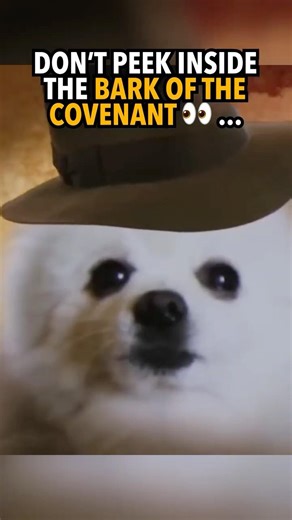 Indiana Borks - The Thrilling Conclusion #indianajones #dogs #memes