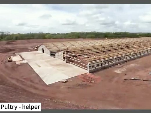 Beginner's Guide to Poultry Farming in 2024 - Sing, Broiler Farm, Modern Poultry