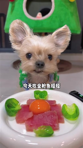 Satisfying ASMR Eating Sounds to Relish Your Senses