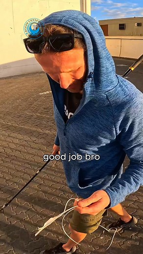 The fish processing plants in Walvis Bay are both a magnet and a minefield for Cape fur seals. The promise of easy fish scraps draws them in, but so does the danger. Plastic strapping from fish boxes and bait containers is everywhere. Seals often get entangled while navigating the docks, and most of the time, they don’t even notice the loop tightening until it’s too late. This particular seal had made himself comfortable just outside the factory gate. But comfort is no guarantee of safety. One f