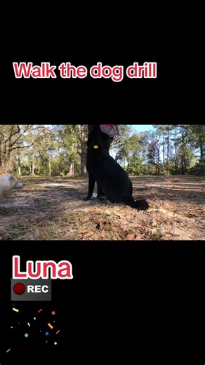 panzertoo960 Kelly Blackwell (@panzertoo)’s videos with Auld Lang Syne - The Irish Rovers