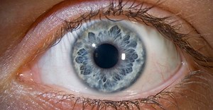 É verdade que os olhos mais claros são mais sensíveis à luz?